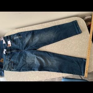 Lane Bryant jeans  size 20w   NWT
